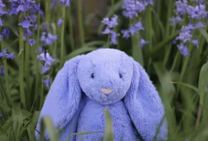 A photo of Bashful Bluebell Bunny - Medium Jellycat taken by lottylovesjellycats
