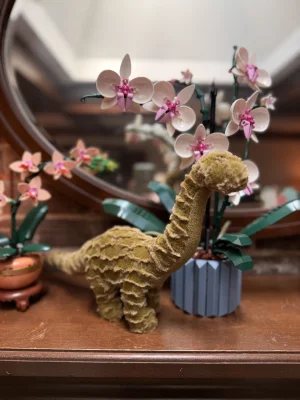 A photo of Delaney Diplodocus - Small Jellycat taken by Saltedcoffee