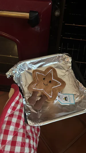 Amuseables Star Cookie Jellycat | Jelly Journal