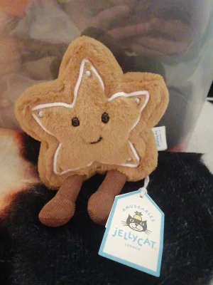 Amuseables Star Cookie Jellycat | Jelly Journal