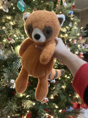 A photo of Whispit Red Panda Jellycat taken by Jellycatqbrooke