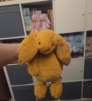 Bashful Saffron Bunny - Medium Jellycat photo uploaded by Eliza23