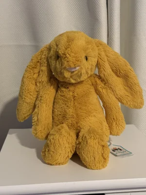 Bashful Saffron Bunny - Medium Jellycat | Jelly Journal