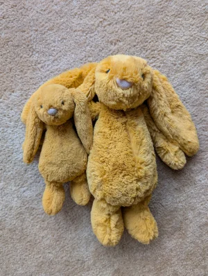 Bashful Saffron Bunny - Small Jellycat | Jelly Journal