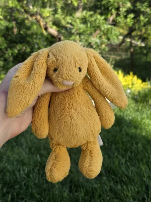 Bashful Saffron Bunny - Small Jellycat photo uploaded by Eliza23
