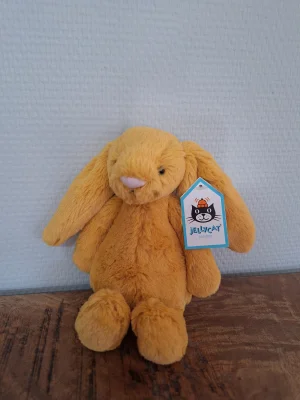 Bashful Saffron Bunny - Small Jellycat | Jelly Journal