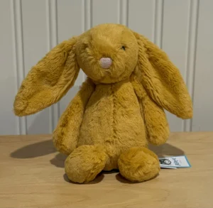 Bashful Saffron Bunny - Small Jellycat | Jelly Journal