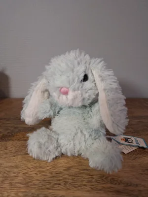 Yummy Bunny - Mint Jellycat | Jelly Journal