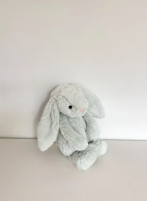 Bashful Seaspray Bunny - Medium Jellycat | Jelly Journal