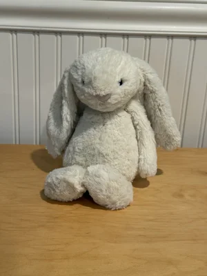 Bashful Seaspray Bunny - Small Jellycat | Jelly Journal