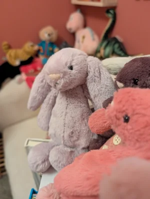 Bashful Hyacinth Bunny - Small Jellycat | Jelly Journal