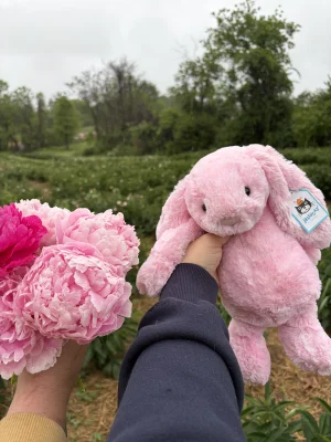 Lifestyle photo of Bashful Peony Bunny - Medium uploaded by Stephmarie207