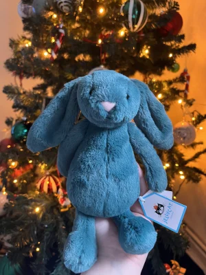 Bashful Teal Bunny Jellycat photo uploaded by jellykitten