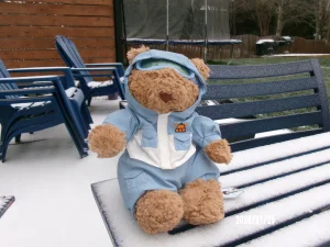 Bartholomew Bear 'Snow Suit' Jellycat photo