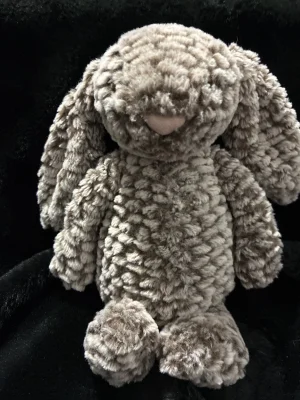 Bashful Luxe Bunny Pine Jellycat | Jelly Journal