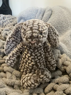 Bashful Luxe Bunny Pine Jellycat | Jelly Journal