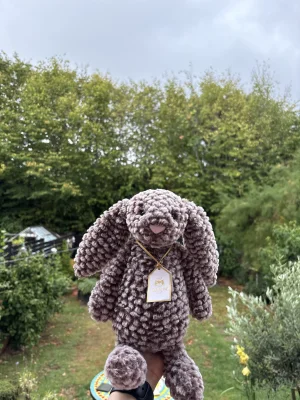 Bashful Luxe Bunny Pine Jellycat photo