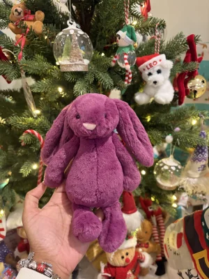 Bashful Allium Bunny Jellycat photo uploaded by Seni113