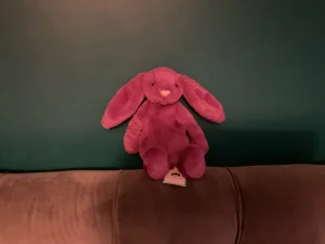 Bashful Allium Bunny Jellycat photo