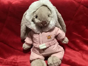 Bashful Bunny 'Snow Suit' Jellycat | Jelly Journal
