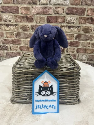 A photo of Bashful Saffyre Bunny Jellycat taken by Raychandthejellies