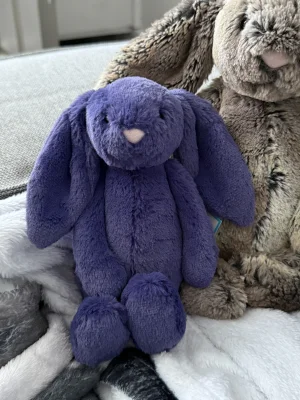 Bashful Saffyre Bunny Jellycat | Jelly Journal