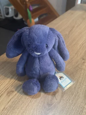 Bashful Saffyre Bunny Jellycat | Jelly Journal