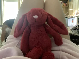 Bashful Redcurrant Bunny Jellycat photo