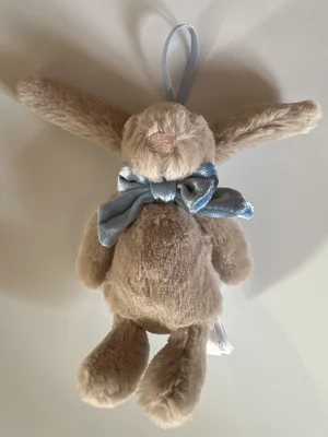 Bashful Beige Bunny Decoration Jellycat photo uploaded by Jellytastic