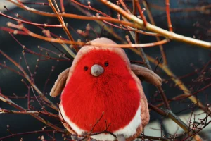 Plum Robin Jellycat | Jelly Journal