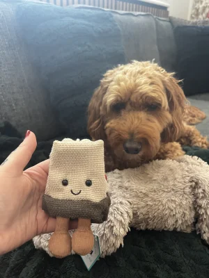 Amuseables Steepy Tea Bag Jellycat photo