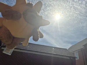 A photo of Bartholomew Bear Sun Outfit Jellycat taken by AimeeMunch