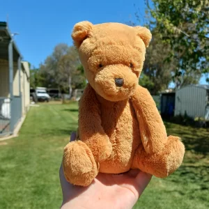 Ginger Bear - Small Jellycat | Jelly Journal