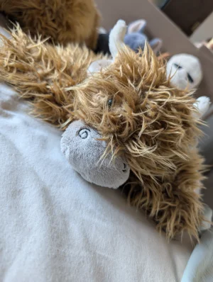 Truffles Highland Cow - Small Jellycat photo
