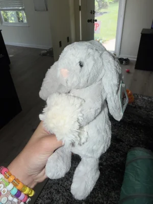 A photo of Bashful Silver Snow Bunny Jellycat taken by alinsey