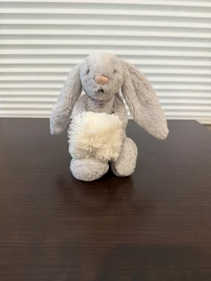 A photo of Bashful Silver Snow Bunny Jellycat taken by Bunnylove
