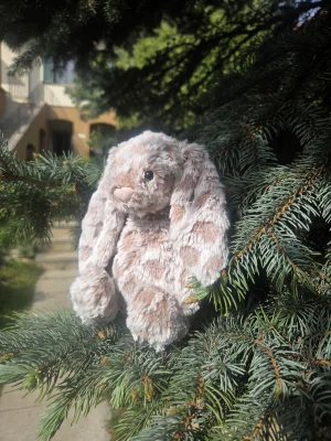 Bashful Harry Bunny Jellycat photo uploaded by Eliza23