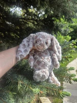 Bashful Harry Bunny Jellycat photo