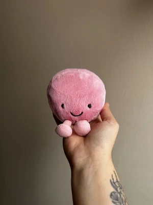 Amuseables Mia Macaron Jellycat photo uploaded by brisjellyjournal
