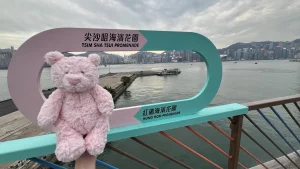 Leola Bear - Medium Jellycat photo