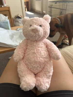 Leola Bear - Medium Jellycat photo