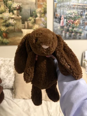 Bashful Chocolate Bunny - Medium Jellycat photo