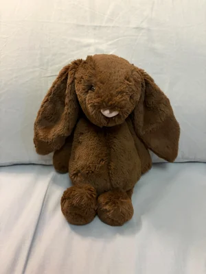 Bashful Chocolate Bunny - Medium Jellycat photo uploaded by twigletfitz