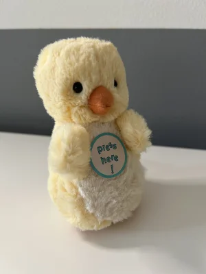 A photo of Chirping Chick - John Lewis Exclusive Jellycat taken by TishWish