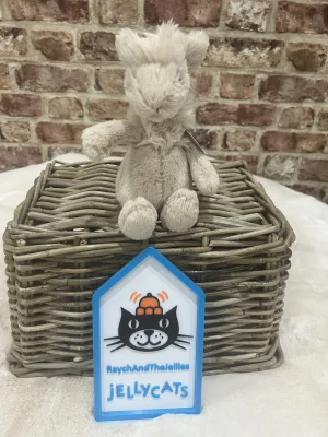 Bashful Llama - Small Jellycat photo
