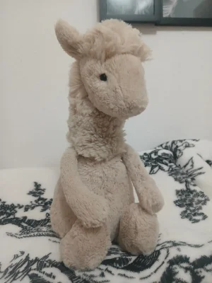 A photo of Bashful Llama - Large Jellycat taken by Birdy