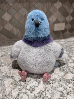 yページ ジェリーキャット Strutton Pigeon新品 Strutton Pigeon