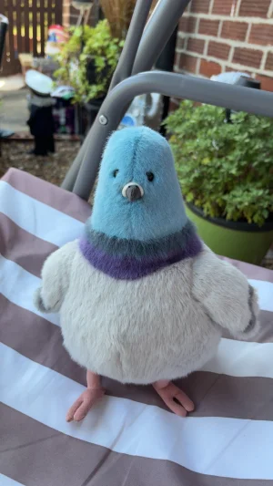 Strutton Pigeon 🇺🇸 Jellycat | Jelly Journal