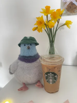Strutton Pigeon 🇺🇸 Jellycat photo