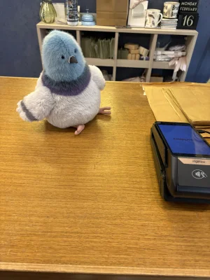 Strutton Pigeon 🇺🇸 Jellycat photo
